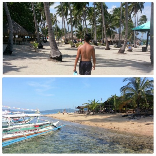 IMG_20140111_045059 (1)