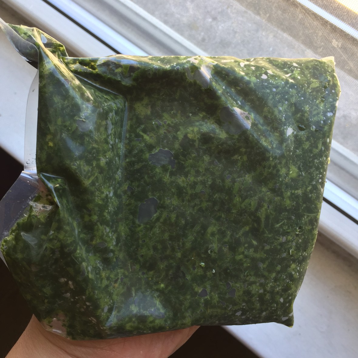 Opened pack of frozen Molokhia