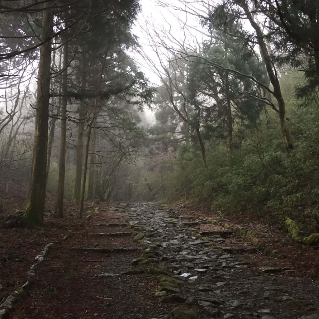Scattered rocks laid in a dirt path on a misty trail
