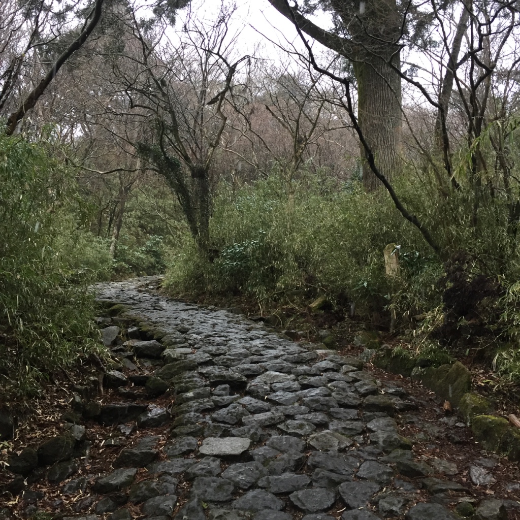 Trail made of large, slippery stones